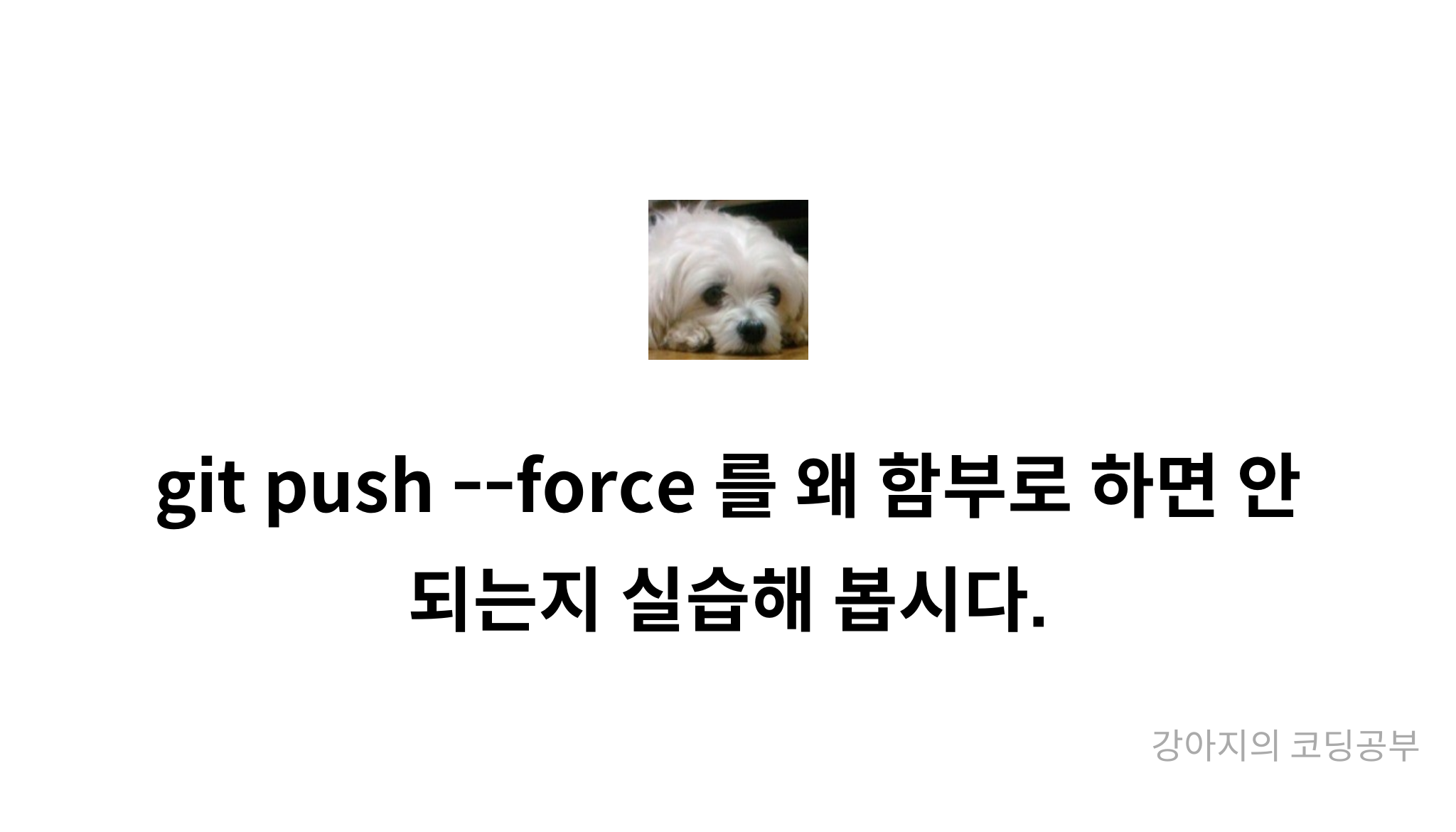 Git Push force Mysetting git-push-force-mysetting